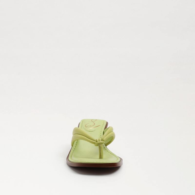 Sam Edelman Daphney Thong Sandal-Kiwi Leather