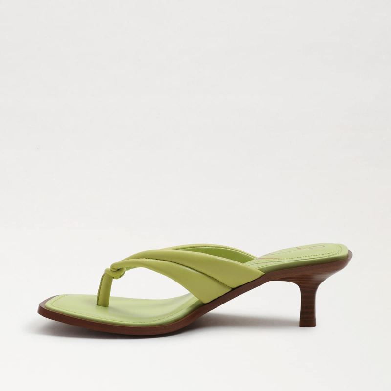 Sam Edelman Daphney Thong Sandal-Kiwi Leather