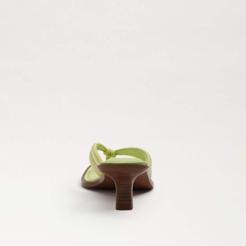 Sam Edelman Daphney Thong Sandal-Kiwi Leather